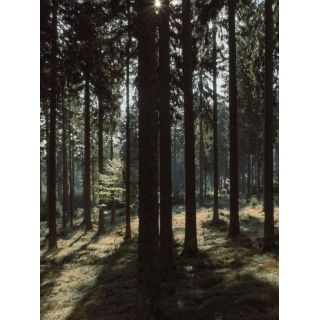 Квадрокоптер DJI Mavic 3 Тушка Only Drone, изображение 13