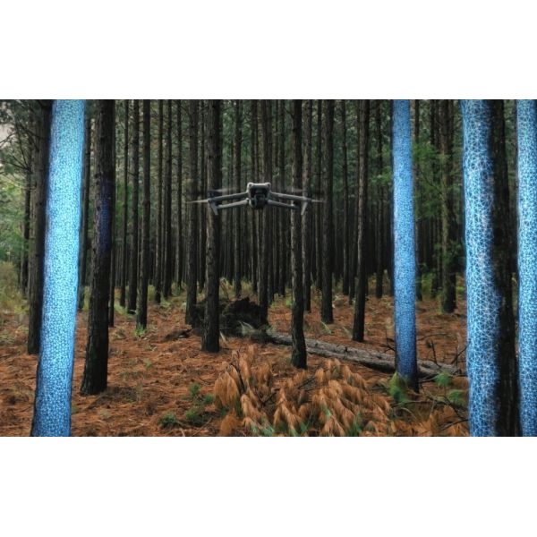 Квадрокоптер DJI Air 3 Fly More (Пульт DJI RC-N2), изображение 6